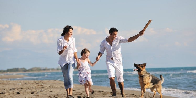 dog-and-family-on-beach