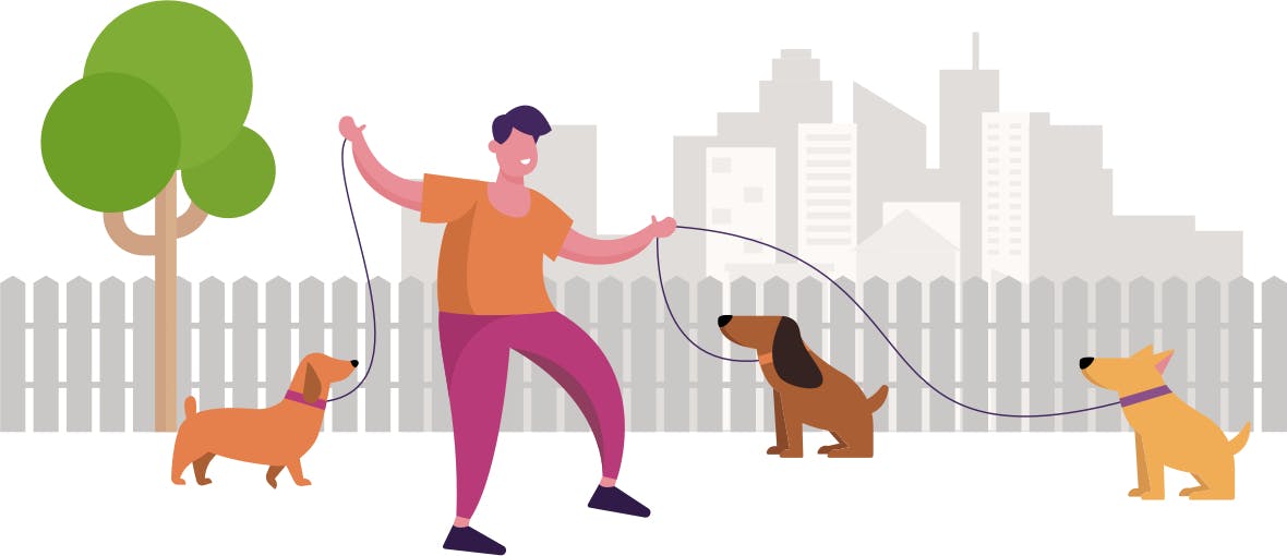 Graphic of person holding three dogs on their leads